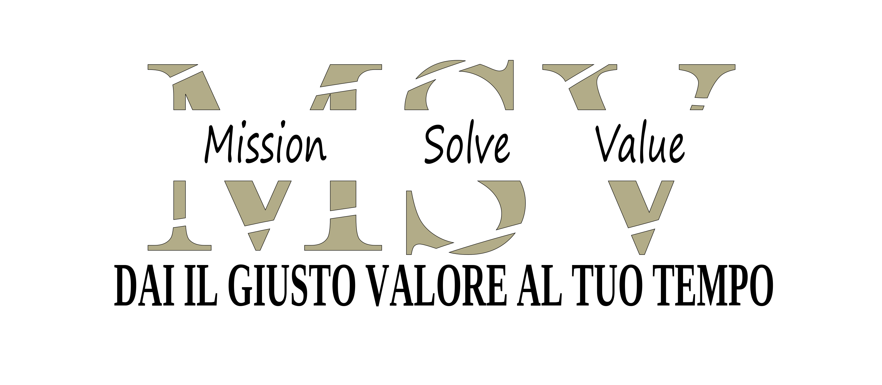 msv_logo_white_bg3